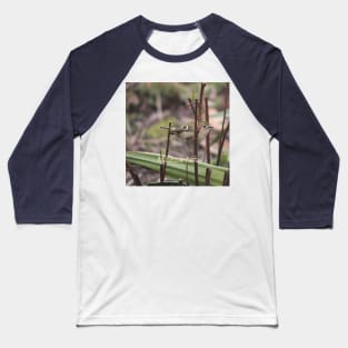 Goldcrest Bird perched on a twig Photograph Baseball T-Shirt